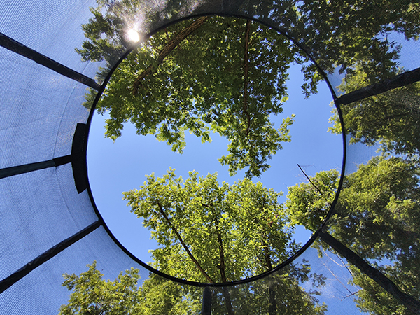 产品详情描述细节图2