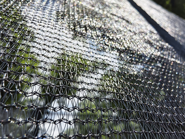 Trampoline rectangulaire